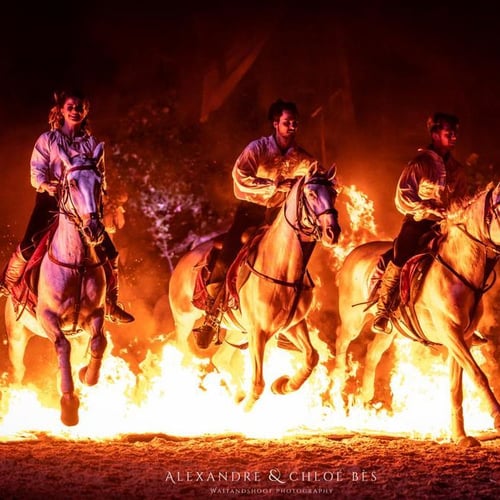 Les Lueurs du Temps à Provins 1