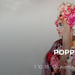 Poppy
