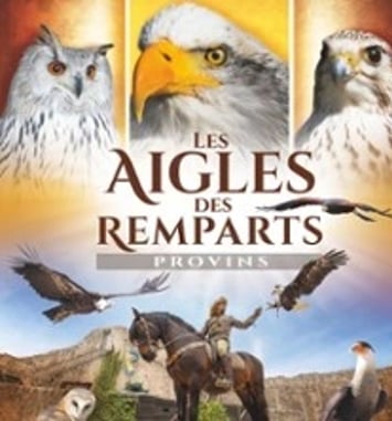 Les Aigles des Remparts
