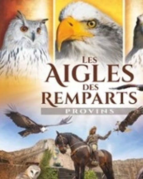 Les Aigles des Remparts