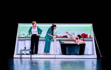 Le Malade Imaginaire