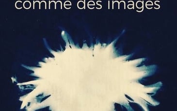 Festival de photographie « Comme des images »