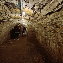 Caves du château