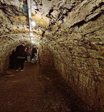 Caves du château