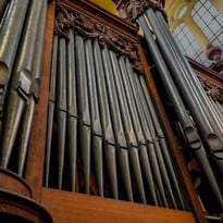 Visite guidée de l'orgue