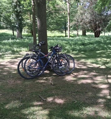 Balade à vélo, le patrimoine des bords de Marne
