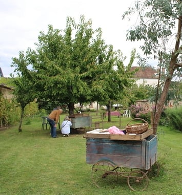 Un jardin thomeryon, entre raisin et fruits