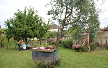 Un jardin thomeryon, entre raisin et fruits