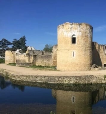 Visite guidée du château médiéval de Brie-Comte-Robert