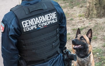 Démonstrations de maîtres-chiens