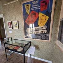 Visite guidée de l'exposition consacrée à Alain Delon