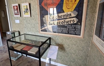 Visite guidée de l'exposition consacrée à Alain Delon
