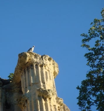 Exposition patrimoine et nature