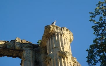 Exposition patrimoine et nature