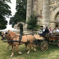 Promenades en calèche dans le parc du château