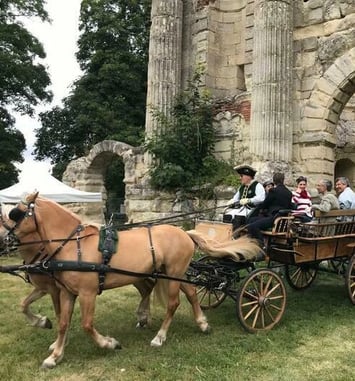 Promenades en calèche dans le parc du château