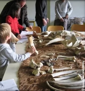 Atelier participatif : animaux et humains