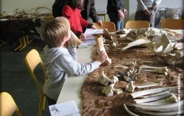 Atelier participatif : animaux et humains