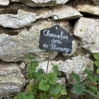 Découverte du jardin viticole pédagogique