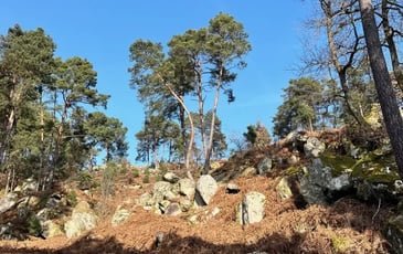 Randonnée patrimoniale