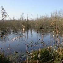 Visite guidée  du Marais