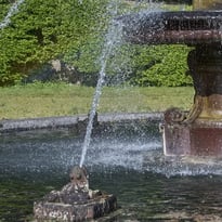 Ateliers, "Grenouilles à la Fontaine" et "Grenouilles royales"