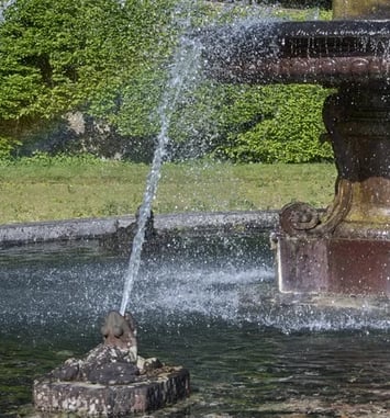 Ateliers, "Grenouilles à la Fontaine" et "Grenouilles royales"
