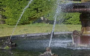 Ateliers, "Grenouilles à la Fontaine" et "Grenouilles royales"