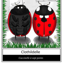 Le "Qui est-ce" des insectes !