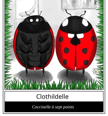 Le "Qui est-ce" des insectes !