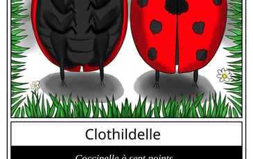 Le "Qui est-ce" des insectes !