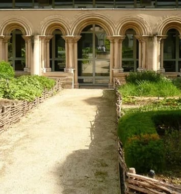 Visite guidée des vestiges de l'abbaye