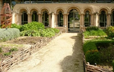 Visite guidée des vestiges de l'abbaye