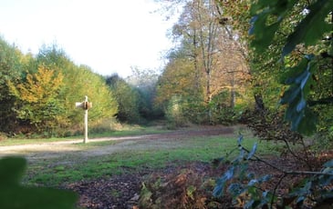 Découverte, en randonnée, de la forêt régionale de Ferrières, de son histoire et de sa gestion