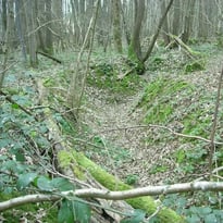 Sur les traces de la Grande Guerre en Forêt régionale de Montgé