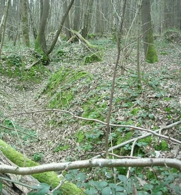 Sur les traces de la Grande Guerre en Forêt régionale de Montgé