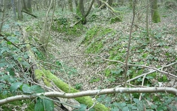Sur les traces de la Grande Guerre en Forêt régionale de Montgé
