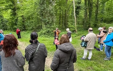 Promenade musicale