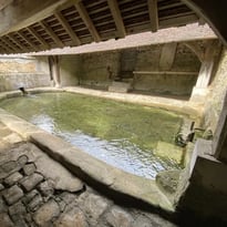 Visite du lavoir de Vitry à Guignes