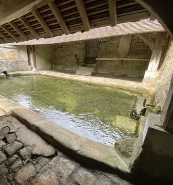 Visite du lavoir de Vitry à Guignes