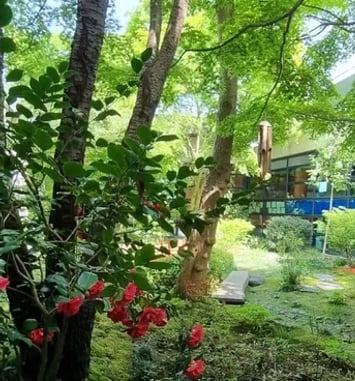 Visite du jardin japonais de Magny-le-Hongre