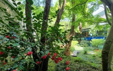 Visite du jardin japonais de Magny-le-Hongre