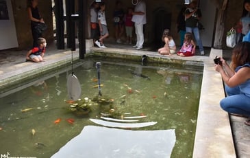 Visite du lavoir Sainte-Geneviève