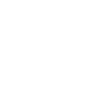 NORTHERN LIGHTS