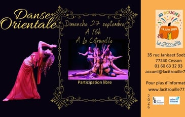 Spectacle de danse orientale