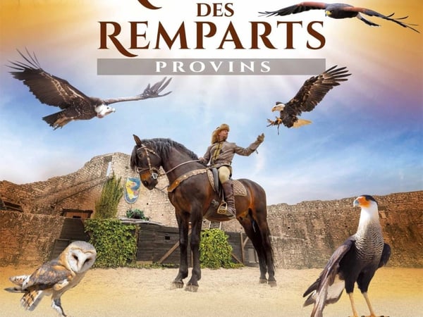 Les Aigles des Remparts