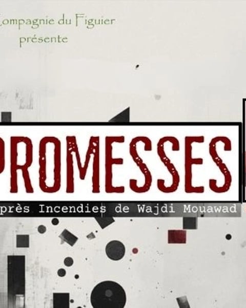 Promesses, par la compagnie du figuier