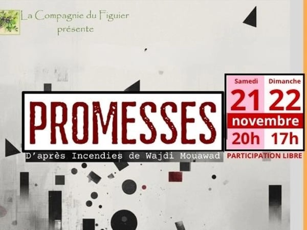 Promesses, par la compagnie du figuier